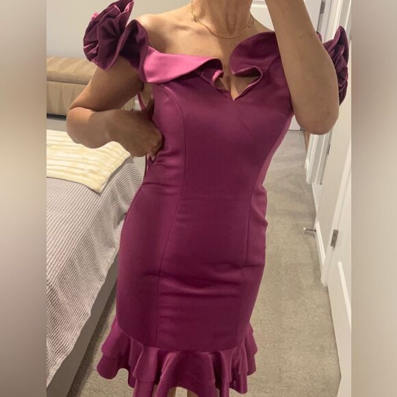 Dalia MacPhee dress size 4 - Picture 6 of 8